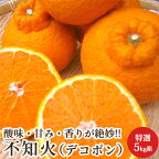 特選 不知火 （デコポン） 贈答用5kg箱 愛媛県産 みかん 柑橘類 産地直送 送料無料