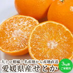 せとか 3kg箱 愛媛県産 みかん 柑橘類 家庭用 産地直送 送料無料