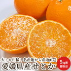特選 せとか 5kg箱 愛媛県産 みかん 柑橘類 贈答用 産地直送 送料無料
