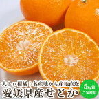 せとか 5kg箱 愛媛県産 みかん 柑橘類 家庭用 産地直送 送料無料