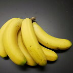 【特秀】完熟 国産 バナナ 7-11本入り 無農薬 バナナ 愛知県産 送料無料 父の日 ギフト