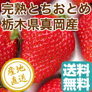 とちおとめ いちごの通販 価格比較 価格 Com