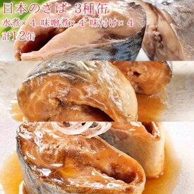 HOKO 宝幸 日本のさば 缶詰 魚 防災 鯖缶 3種缶 水煮缶 味噌煮缶 味付け缶 各4缶 12缶 セット サバ缶 魚缶 12缶セット 鯖 さば サバ 味付け 缶詰め 缶づめ 非常食 おかず 副菜 ギフトセット