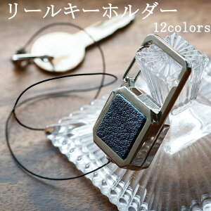 ���[���L�[ ���[�� �L�[�z���_�[ �p�^ �X�g���b�v ���[���t�� ������� Ni �����Y ���f�B�[�X �S12�F CH12N �p�X�P�[�X �J�[�h�z���_�[ �L�[�P�[�X ���̒��Ŗ��q�ɂȂ�Ȃ� �� �L�[ �� �ʋ� ��