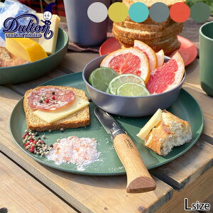 _g v[g M H M M `v[g DULTON M&B V[ L M K21-0359L v[g q  ɂ `M H | ou[ AEghA v[g 傫 傫 