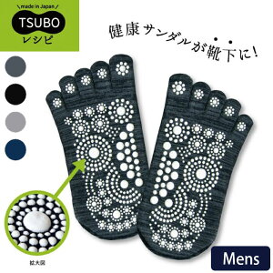  C \bNX TSUBOVs 5{w\bNX Y 25-27cm  c{h N[   c{ tbg}bT[W N\bNX { tbg }bT[W N S 