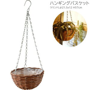 nMOoXPbg v^[ ݂艺  Eh L  ݂蔫 11613 nMO v^[  i` K[fjO nMO{bNX Jo[ Aؔ  | ϗtA