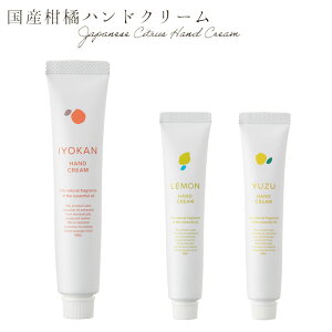 nhN[ Mtg ~jTCY  킢 20g { YUZU k 䂸 ˓ ɗ\ ^ g Y fC[A}Wp v[g ̓ bNX^C v`