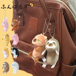 ʂ ӂ΂邸 {[`F[t STCY Aj}  Lw T|[g 킢  N} ETM lR u^ lY~ yM AUV nX^[ i}Pm NAbJr[ 