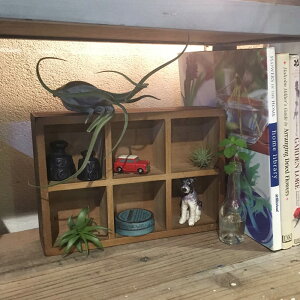 [{bNX ؐ Be[W DIY _g DULTON  [P[X d؂肠 12 PARTITION WOODEN BOX H65 Ebf {bNX CH14-H521NT     [ {bNX P