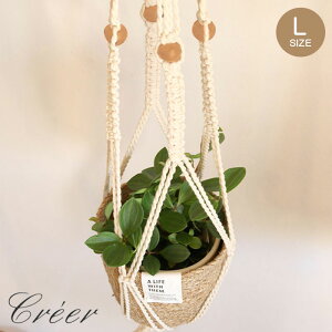 nMO  }N a12cm Aؔ nMO|bgNC L  }N҂ 肳 Jo[ nMOv^[ ҂ vgnK[ AؔJo[ 艺