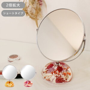   X^h~[ X^h ~[ g勾 Жʊg勾 2{ n[oEx[X S V[g^Cv 16×22cm px ₷ ʋ { CN  ~` t[   C