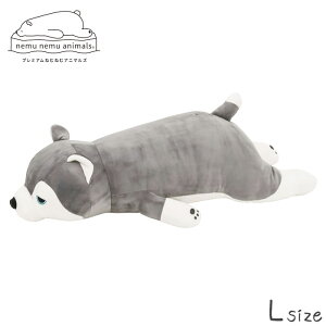  ʂ  v~A˂ނ˂ރAj}Y ~g LTCY ܂ Ck VxAnXL[ Aj} v~A  NbV Ƃ    􂦂