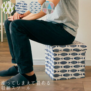 [{bNX  [x` [Xc[ S4F EF-SR17 Ă܂ď߂ ֗{bNX u ֎q wȂ B[ ᔠ ߗ   t@ubN[