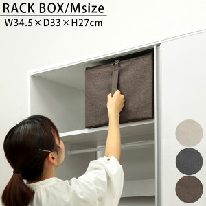 [{bNX t^t z ܂肽 z t  bN{bNX M XgAJ`I AC{[ uE O[ ESTC-RBM [P[X bN ߗގ[ [ Ci[{bNX 