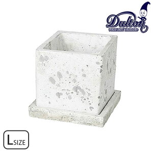 DULTON _g v^[ Aؔ L[u  \bh L A655-758LRG |bg  RN[g lp` p^ Mt |pi  O    CeA Jt