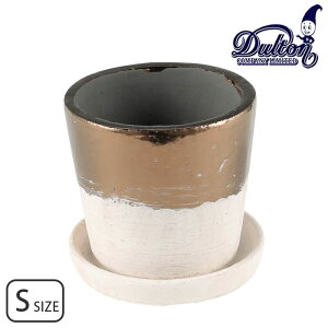   eRb^ oCJ[|bg Aؔ S DULTON _g G20-0202S |bg v^[ t[|bg A vg|bg   | 󂯎M t \[T[  Ce