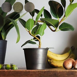 v^[   Aؔ ϗtA A T{e ԕr Jo[ a10.5x8cm ACA vg|bg Ap|bg Ԋ  X^h A  | A CeA MC~