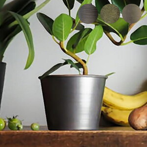 v^[   Aؔ ϗtA A T{e ԕr Jo[ a12x9.5cm ACA vg|bg Ap|bg Ԋ  X^h A  | A CeA MC~