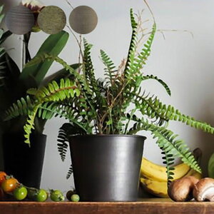 v^[   Aؔ ϗtA A T{e ԕr Jo[ a14.5x11.5cm ACA vg|bg Ap|bg Ԋ  X^h A  | A CeA MC~