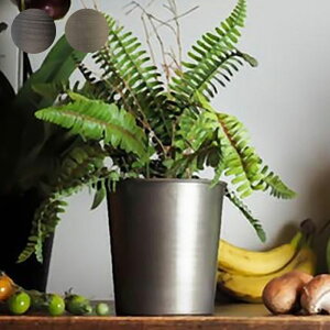 v^[   Aؔ ϗtA A T{e ԕr Jo[ a14x14cm ACA vg|bg Ap|bg Ԋ  X^h A  | A CeA MC~