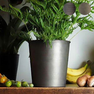 v^[  ACA Aؔ MC~|bg a17×17cm Ap|bg vg|bg ԕr Ԃт Jo[ Ԋ |bg   X^h ~ u  A | A ϗt