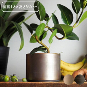 v^[   t[x[X ACA MC~x[X a12×9.5cm Aؔ Ap|bg vg|bg Ԋ |bg Ԃт ԕr ~   ϗtA A  A | 