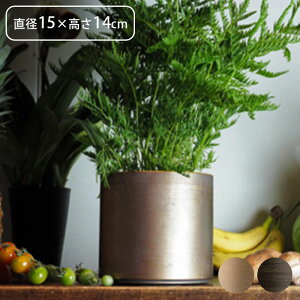 v^[   t[x[X ACA MC~x[X a15×14cm Aؔ Ap|bg vg|bg Ԋ |bg Ԃт ԕr ~   ϗtA A  A | 