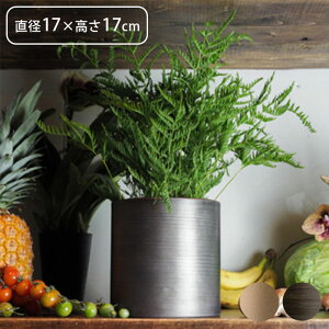 v^[   t[x[X ACA MC~x[X a17×17cm Aؔ Ap|bg vg|bg Ԋ |bg Ԃт ԕr ~   ϗtA A  A | 