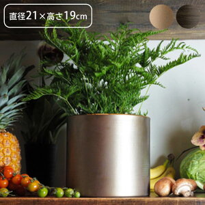 v^[   t[x[X ACA MC~x[X a21×19cm Aؔ Ap|bg vg|bg Ԋ |bg Ԃт ԕr ~   ϗtA A  A | 