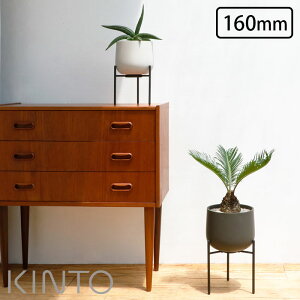 v^[ X^ht  vg|bg 211 KINTO Lg[ 160mm O[  Aؔ ی^ A ϗtA  T{e  | A  rO  CeA K[fjO 