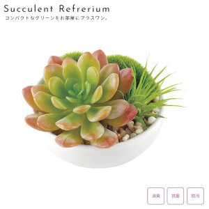 lHϗtA ϗtA tFCN  tFCNO[ R L LA[eBtBVO[ ی^ TLgtE B  A[gt[ CeAt[ lH A