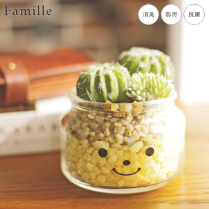 tFCNO[  킢 T{e lHϗtA  lHA ϗtA A t@~[ LA[eBtBVO[ uCA A ctG}  rO gC L