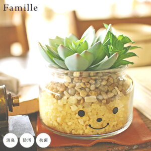 tFCNO[  킢 lHϗtA  lHA ϗtA A t@~[ LA[eBtBVO[ WFVJ A ctG}  rO ItBX CeA 