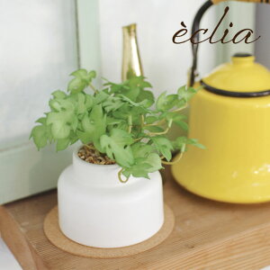 Xe tFCNO[ ϗtA lHϗtA  sv G} GNA CeA  CTG} R h L   ʏ gC a Vzj JXj S ȒP 