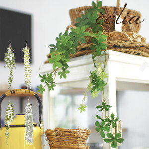 tFCNO[  nMO sv lHA ϗtA  ݂艺 GNALA[eBtBVO[ tFCN lHϗtA CTG} L h R  Ce