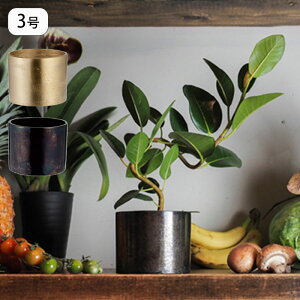 Jo[ Aؔ 3 Ԋ ϗtA v^[ AMV_[|bg vg|bg |bg Ap|bg  A AؔJo[  | T{e CeA  y A~