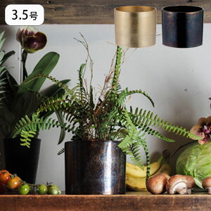 Jo[ Aؔ 3.5 Ԋ ϗtA v^[ AMV_[|bg vg|bg |bg Ap|bg  A AؔJo[  | T{e CeA  y A~