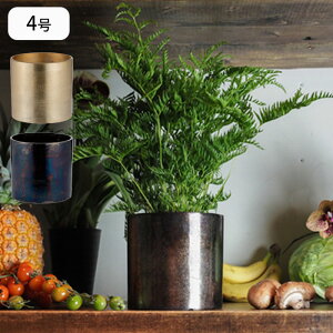 Jo[ Aؔ 4 Ԋ ϗtA v^[ AMV_[|bg vg|bg |bg Ap|bg  A AؔJo[  | T{e CeA  y A~