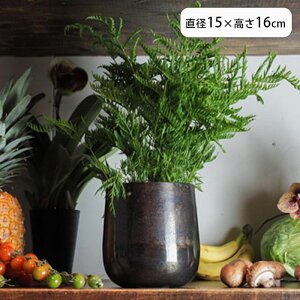 Jo[ Aؔ Ԋ ϗtA v^[ AM4x[X vg|bg |bg Ap|bg  A AؔJo[  | ԕr CeA  y ꌊȂ A~