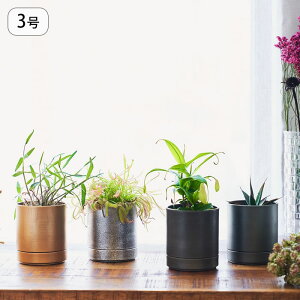 ԕr Ԋ Ԃт KX  t[x[X DGeBAhbvx[X 15cm a9.5cm x[X    ԓ   O[ hCt[ L t[OX C