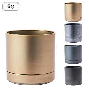 Aؔ Ԋ 󂯎Mt Jo[ a19cm MC~^ECO|bg v^[ Ap|bg vg|bg |bg 6  ACA X^h  u  A ϗtA T{e A 