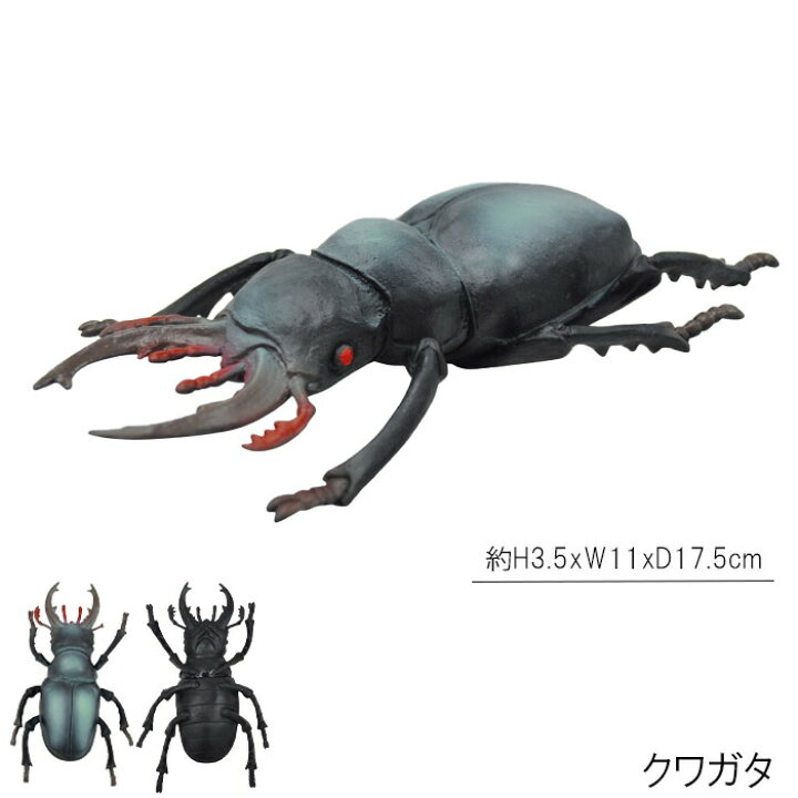 コレクタ クワガタムシ 昆虫 フィギュア 703 出群 コレクタ クワガタムシ 昆虫 フィギュア 703 出群