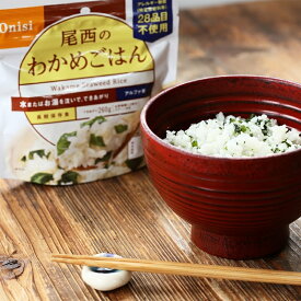 楽天市場 登山 ご飯 アルファ米の通販