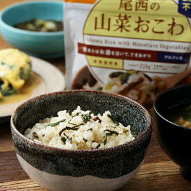 非常食 ごはん アルファ米 保存食 防災食 長期保存 備蓄 山菜おこわ 尾西食品 尾西 防災 防災グッズ 防災用品 賞味期限 5年 アルファ化米 ご飯 5年保存 アウトドア キャンプ 登山 海外旅行 などにも