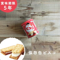 非常食 お菓子 保存食 防災食 長期保存 備蓄 防災 食品 賞味期限 5年 ビスコ 保存缶 グリコ 防災 防災グ…