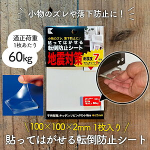 �ϐk �n�k �n�k�΍� �Ƌ�]�|�h�~ �h�� �h�ЃO�b�Y �]�|�h�~ �ЊQ ���~ �Ƌ� �V�[�g �ϐk�Q�� �G�N�V�[�� �h�Зp�i ���p �ЊQ�p100mmX100mm ����2mm �h�Зp�i ���p �ЊQ�p