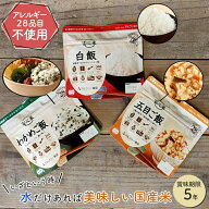 非常食セット 非常食 保存食 保存食セット 防災食 防災食セット 防災 食品 アルファ米 安心米 アルファ食…