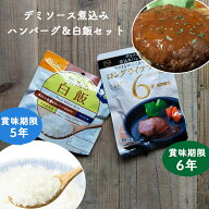 非常食セット おかず 非常食 保存食 デミソース煮込み ハンバーグ アルファ米 白飯 尾西食品 長期保存 5…