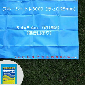 u[V[g ngt 3000 NEOV[g 5D4mX5D4m u[  h ~J΍ 䕗΍ AEghA Lv W[ Ԍ ^ { _Ɨp yؗp YƗp ȂǕLgpĂX
